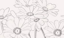 2020年2月23号出生的女孩怎么起名，气质好听名字推荐