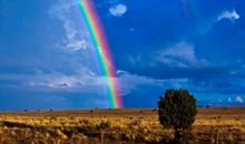 辰时出生的人2020鼠年能不能结婚嫁娶，适合结婚