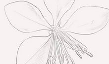 2020年2月22号出生的女孩怎么取名，宜用吉祥的字起名