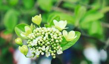 过了3月后，财富节节高升，横财数不过来，不缺钱的4大生肖