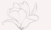 2020年2月21号出生的女孩怎么起名，气质好听名字推荐