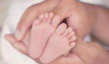 2020年快来接福，喜运不断的生肖