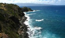 3月立春后，双喜临门，多财多福的，事业桃花两旺的4个生肖