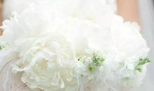 2020年1月生肖属兔和生肖属兔结婚吉日一览表