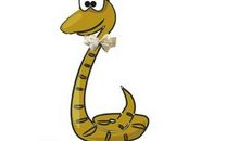 鼠年运程：2020年十二生肖中运气最好的属相排名