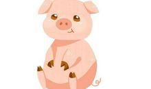 十二生肖中属相猪和属相虎相配吗，合适吗？