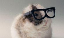 4生肖惹不起，2月开始，存款翻番，事业大发，金榜题名！