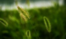 6月开始运势涨百倍，添财添福添好运，四属相运势飙升，吉星高照