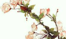 八字测人生运势命运,日干为喜用命好吗