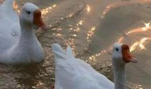 周运丨12星座一周运势指南（0217-0223）