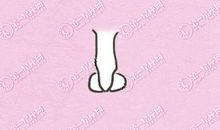 鼻子生财 旺财鼻子特征