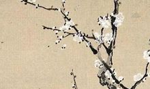 2020金鼠年11月3号出生的男孩起什么名字高分，五行属什么