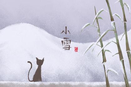 小雪真的会下雪吗 2019年小雪天气气候 2