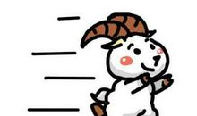 属羊的今年多大