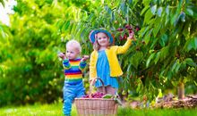 测试名字具体可以打多少分