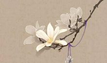 2020年鼠宝宝取名有什么注意事项，首先要了解生肖的忌用字