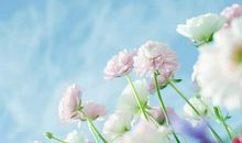 相爱久了，不愿意再哄着你的四大星座男