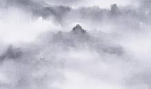 生肖属猪爸爸和什么生肖属相的宝宝相合相冲