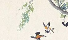 生肖属羊的父母和什么生肖属相的孩子最相合