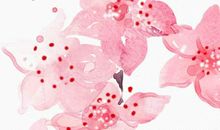 生肖属羊的父母不适合生什么生肖属相的小孩