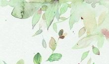 生肖属羊男和生肖属猴女2020年生鼠宝宝怎么样