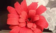 11月起运势大好，存款暴增的生肖，10年内脱胎换骨，非富即贵