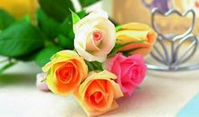 狮子座对感情有哪些特殊的喜好？