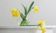 追人别犹豫，不然就像这几个星座，经常错失良机