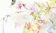 生肖属猴男和生肖属鸡女2020年生宝宝好不好，相合？