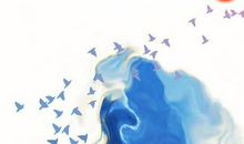 生肖属猴男和生肖属狗女2020年生宝宝好不好，相合？