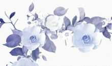 生肖属猴女2020年12月份生小孩好不好，命好吗