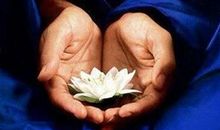 这5大生肖，3月福星高照，正财稳、横财旺，家人享福