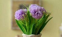 恭喜4大生肖！2月横财进家门，前程一片光明，日子富贵无忧