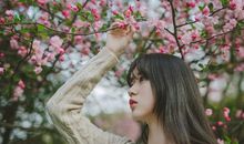 话里总有玄外音的难猜生肖