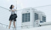 遇到困境一筹莫展，会选择逃避的星座