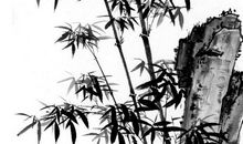 2020年3月22号出生的男孩怎么取名字，五行属什么