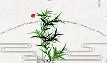 生肖属鸡女2020年5月份生孩子好不好，命好吗