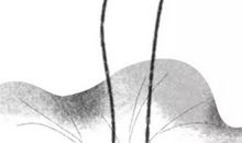 生肖属鸡女2020年2月份生孩子好不好，相冲相合？