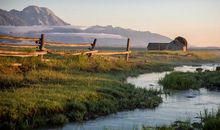 郑博士一周生肖运势（12.30-1.5）