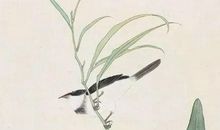 2020年农历五月十五出生的女宝宝取什么名字寓意好，宜用哪些字