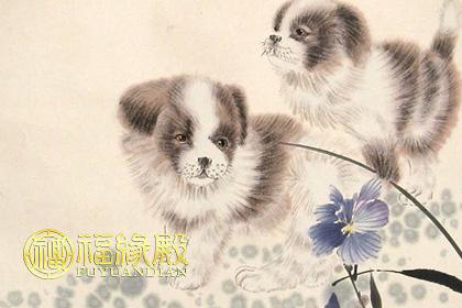 男属狗女属牛结婚好不好