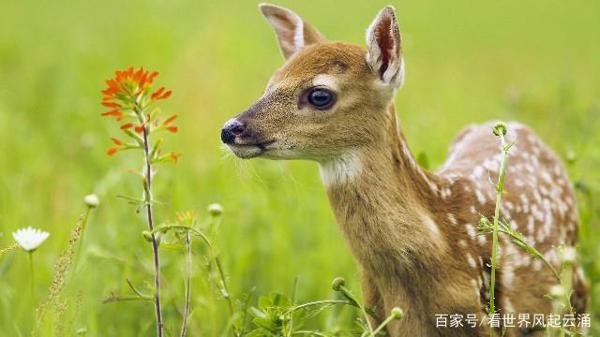 留着过年路上看的句子，精妙绝伦，愿你事业风水顺 17