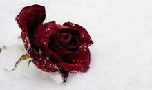 能让父母一生过得富裕的3个生肖，能让父母晚年衣食无忧大富大贵