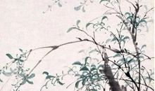 2020年5月8号四月十六日生的男孩命运好吗，取什么名字好