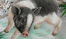 1月29日生肖运势前三，吃得苦方能成才，百万到账让人眼红！