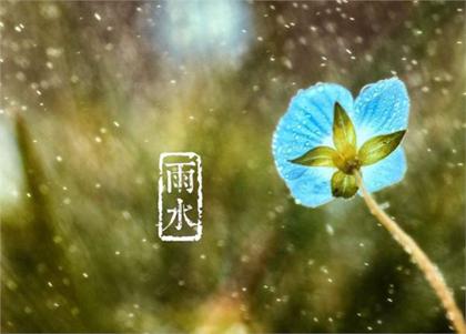 2020年雨水节气不宜安床吗,2020年雨水何时开始何时结束？(图文) 1