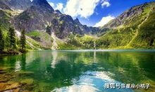 1月底开始，四生肖财神眷顾，大吉大利，事业一顺百顺！