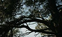 盘点吃醋后会变得疯狂的生肖男