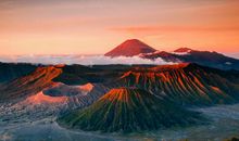 雪莱2020年十二星座运势