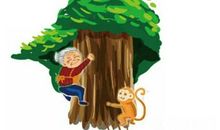 海南十八怪 老太上树比猴快（真怪）